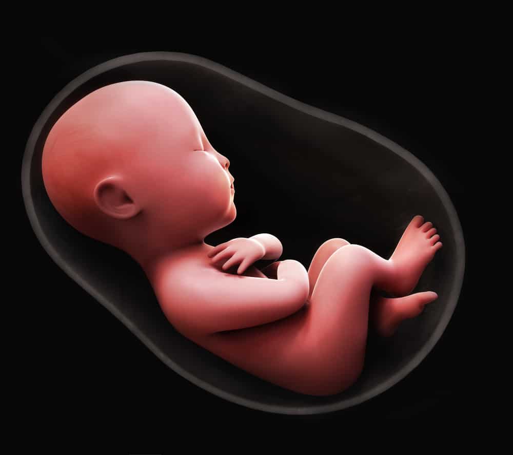 no matter how good your genes pronatalism is straight stupid.